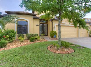 19349 Yellow Clover Dr, Tampa, FL 33647