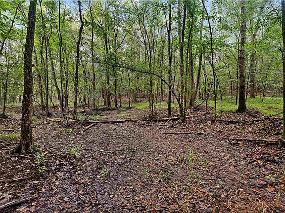 2nd image of County Road 164