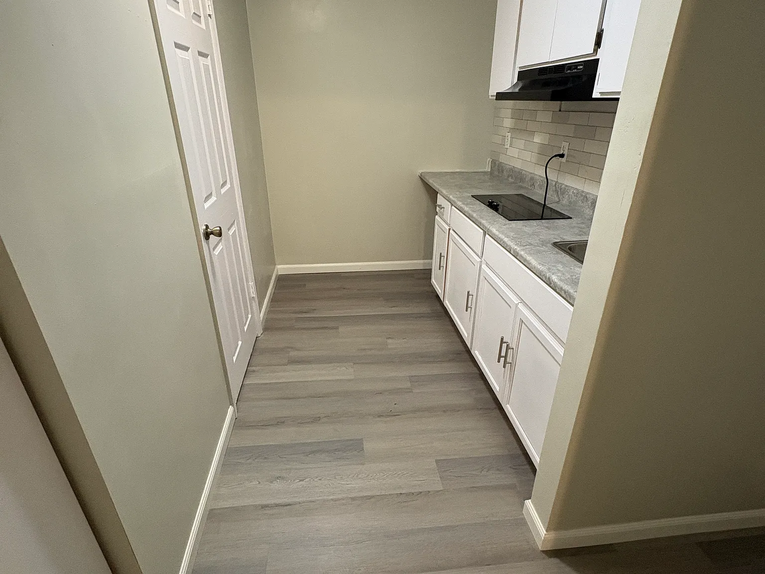 1 bed, 450 sqft, $1,000 — Photo 4