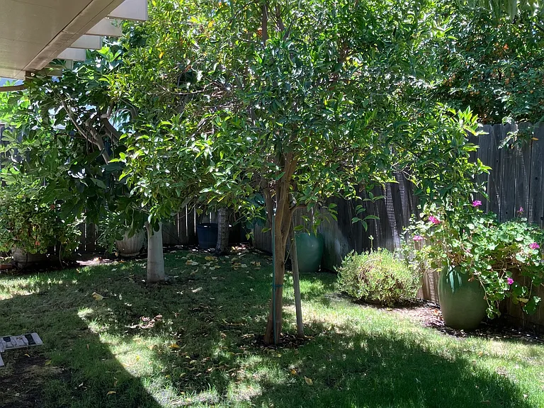 2063 Dorothy Ln — Photo 13
