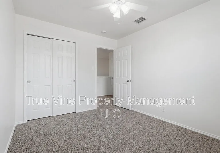 136 Texas Mulberry — Photo 19