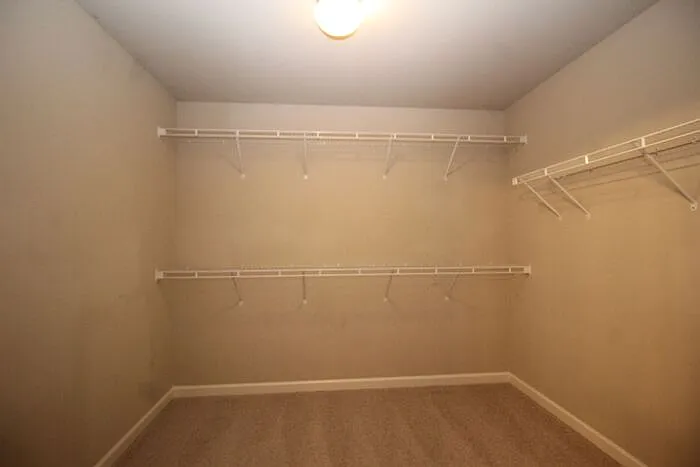 1117 Clear Stream Rdg — Photo 29