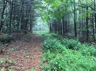 0 Hillcrest Rd, Hannacroix, NY 12087