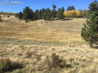 880 Deerview Dr, Florissant, CO 80816