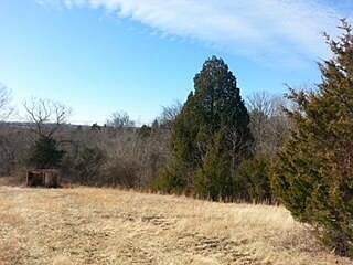 4th image of 901 Tracy Ln