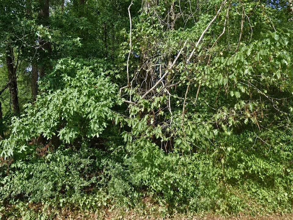 2nd image of Scott Cir