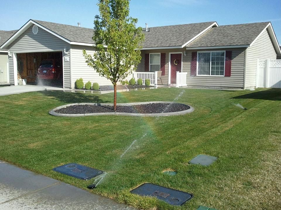 Front yard