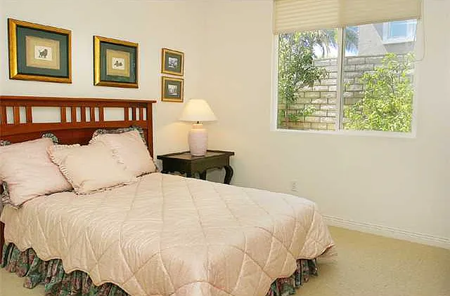 6735 Lemon Leaf Dr — Photo 4