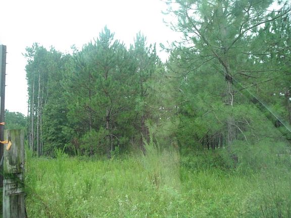 3rd image of 2181 State Highway 133 N