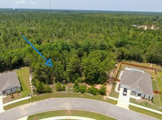 24 Perimeter Pl, Freeport, FL 32439