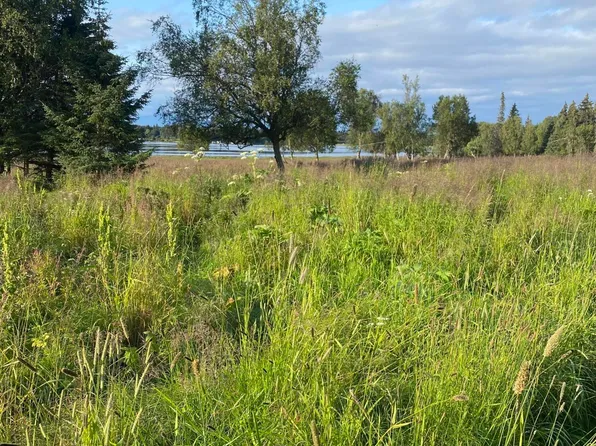 L44 Dahl St, Homer, AK 99603