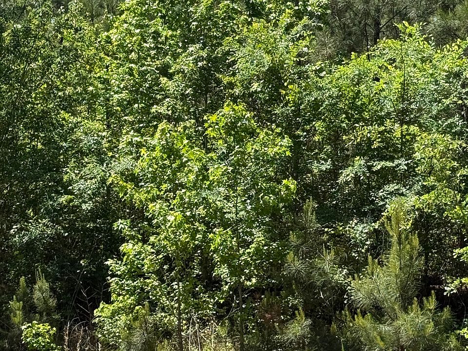 1st image of Woodbury Hwy