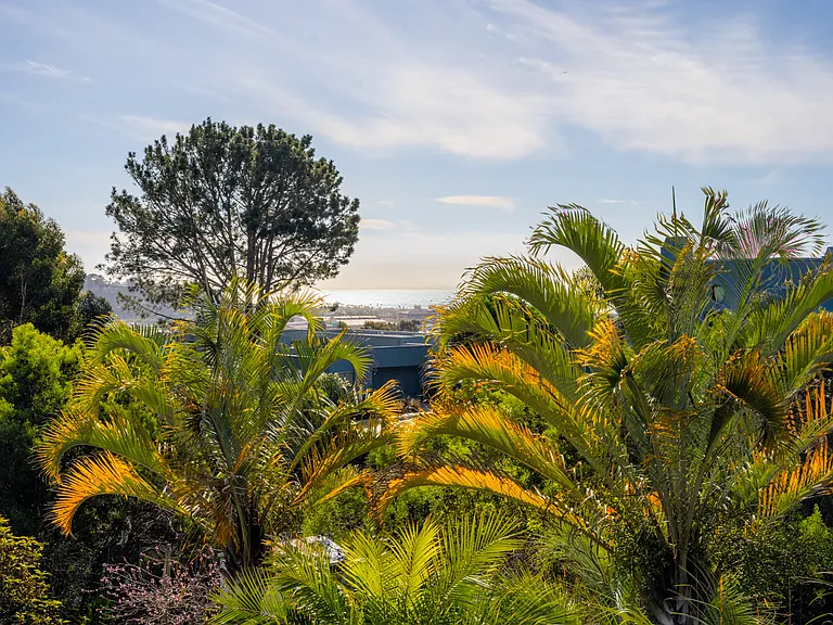 849 Avocado Pl — Photo 19
