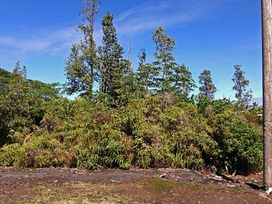 5th image of Beach & Pilikai Lot 26
