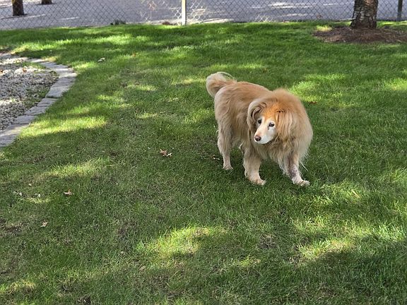 Duncan in way-back yard