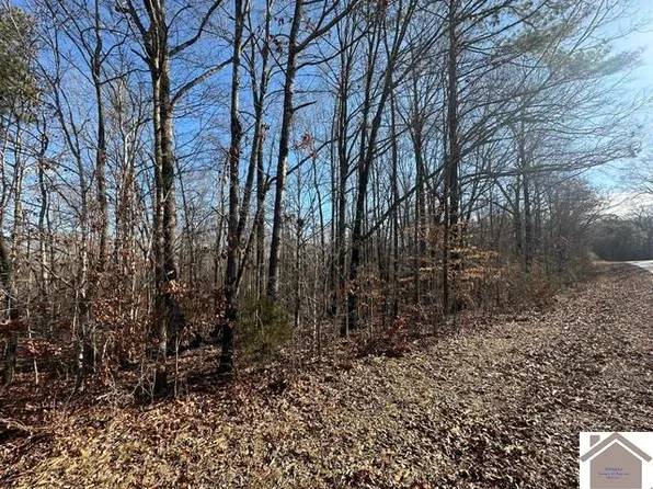 0 Fred Jones Rd, Hardin, KY 42048