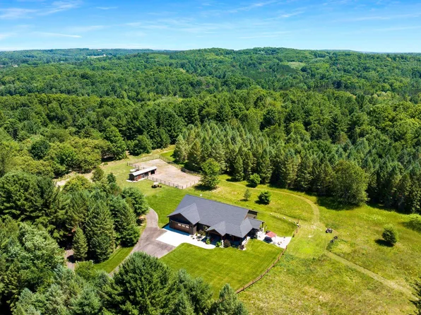 11215 Apple Ridge Trl, Alden, MI 49612