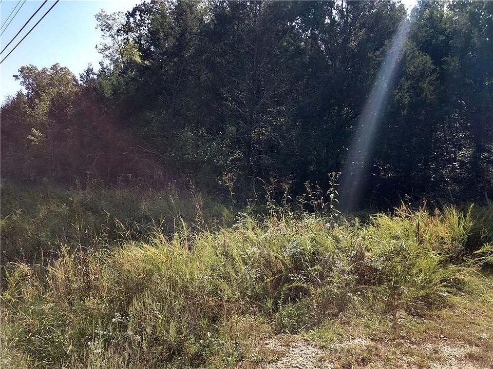 1st image of Wild Turkey Dr