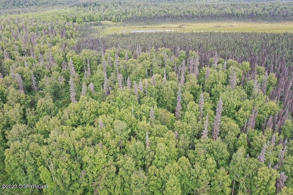 2nd image of 19343 W Parks Hwy