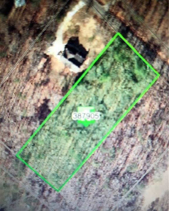 2nd image of 337 Fairview Rd