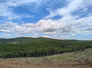 Tbd Parkway Church Rd, Meadows Of Dan, VA 24120