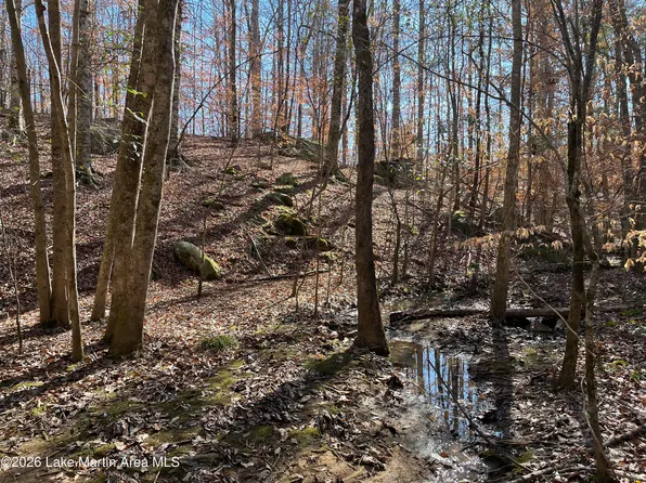 /greenwood Rd, Kellyton, AL 35089