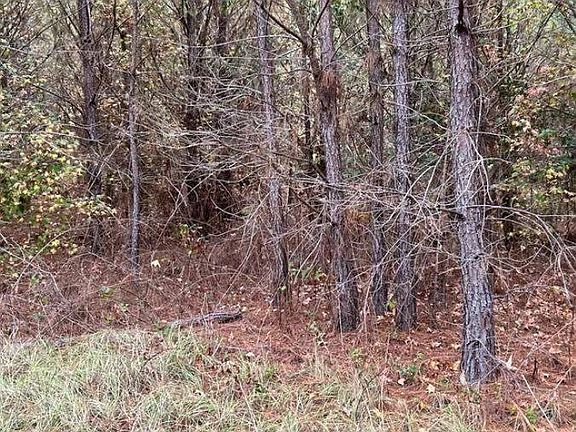 5th image of 0 Buck Jackson Road New Church Rd