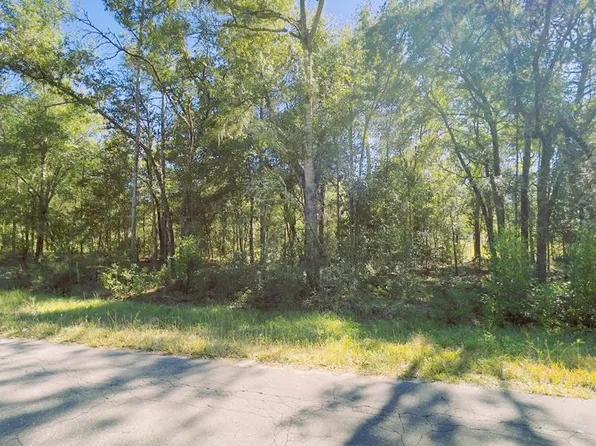Lot 2 NE 15th St, Williston, FL 32696