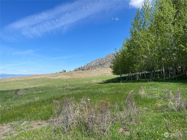 111 Fritz Road, Riverside, WA 98849