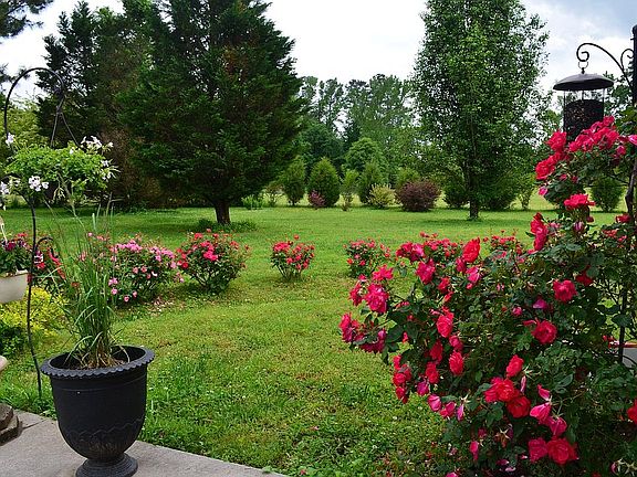 hedge property side limit