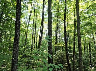 0 Route 12 #A, Roxbury, VT 05669