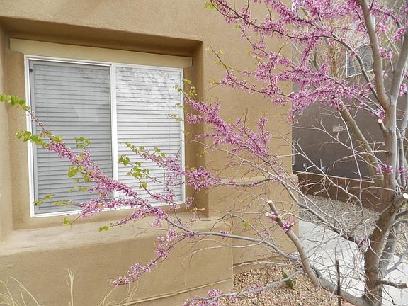 5238 Aztec Pretty In Spring