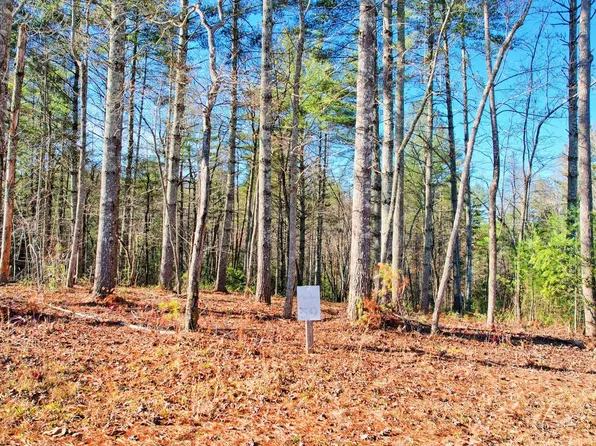 59 Nathaniels Way, Blairsville, GA 30512