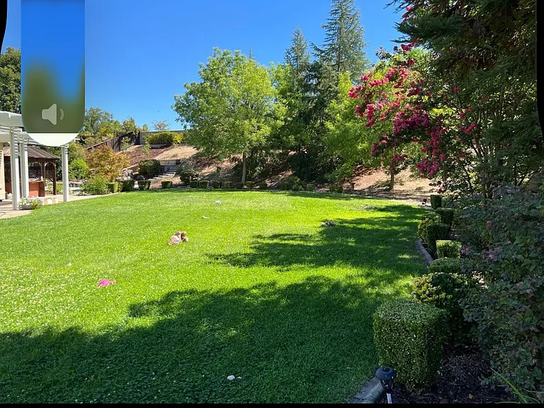 224 Dove Meadow Ct — Photo 9