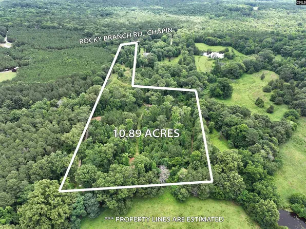 0 Rocky Branch Rd, Chapin, SC 29036