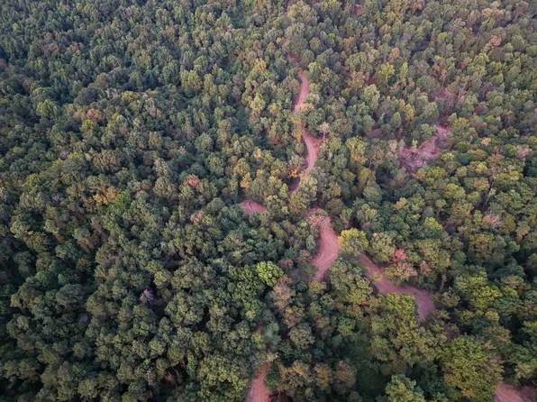 Highway 61, Lorman, MS 39096