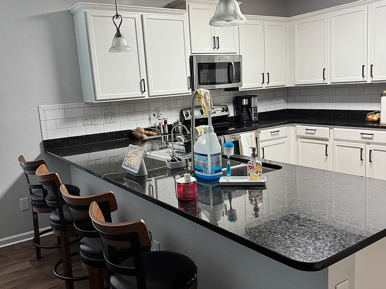 1594 Paso Fino Dr — Photo 3
