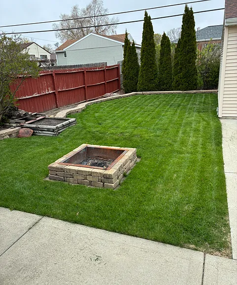 Backyard