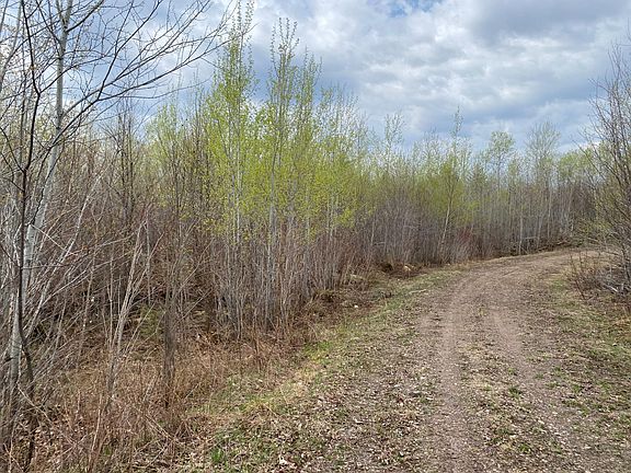 5th image of Near Wilson Lake Rd