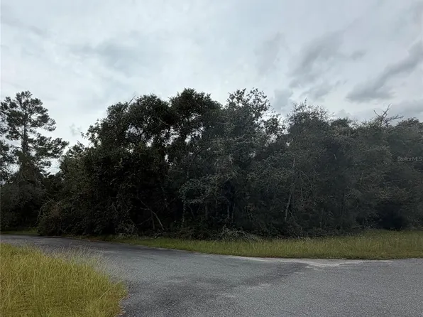 MARION OAKS GOLD WAY AND 38TH CT LOT 17, OCALA, FL 34473