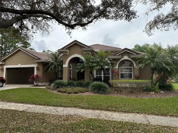 9113 Woodridge Run Dr, Tampa, FL 33647