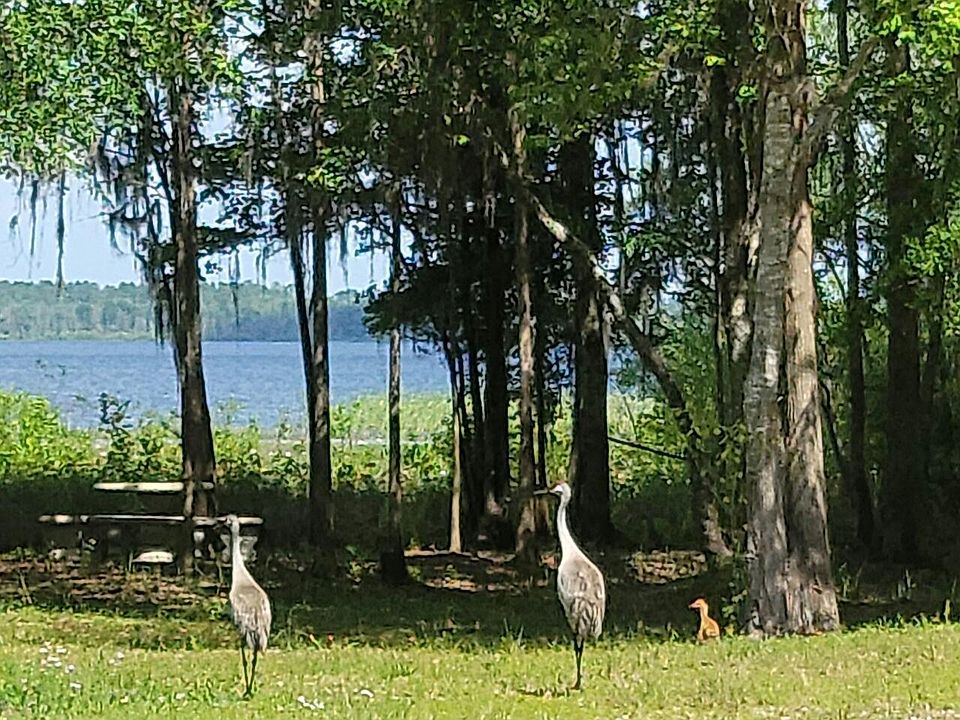 8233 SW 137TH ST, Starke, FL 32091 MLS 1219250 Zillow