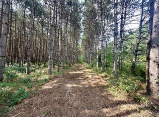 N9679 630th Street, Colfax, WI 54730