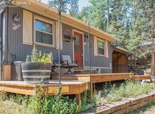 1225 Ridge Rd, Divide, CO 80814