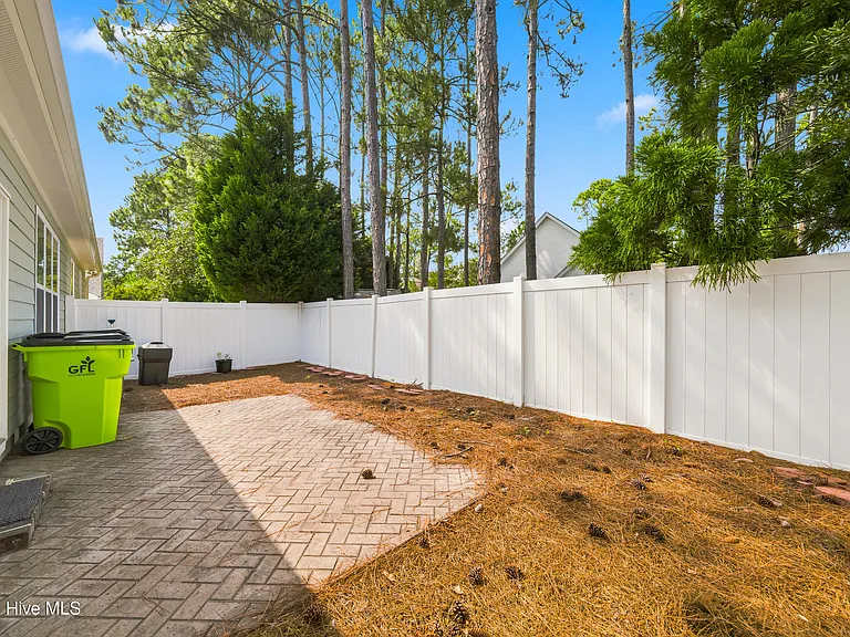 3702 Cinnamon Fern Dr — Photo 19
