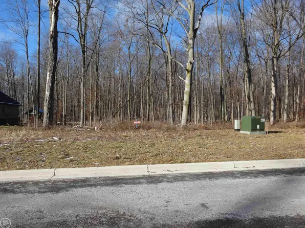 67811 Ashley Ave, Richmond, MI 48062