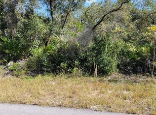 0 Malauka Pass, Ocklawaha, FL 32179