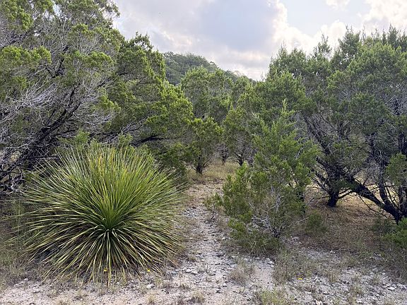 4th image of 1086 Trail Pass LOT 106