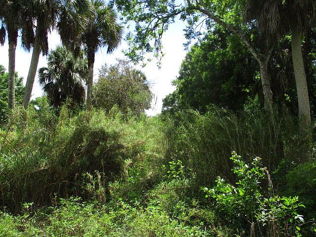 1st image of 000 SW Citrus Boulevard