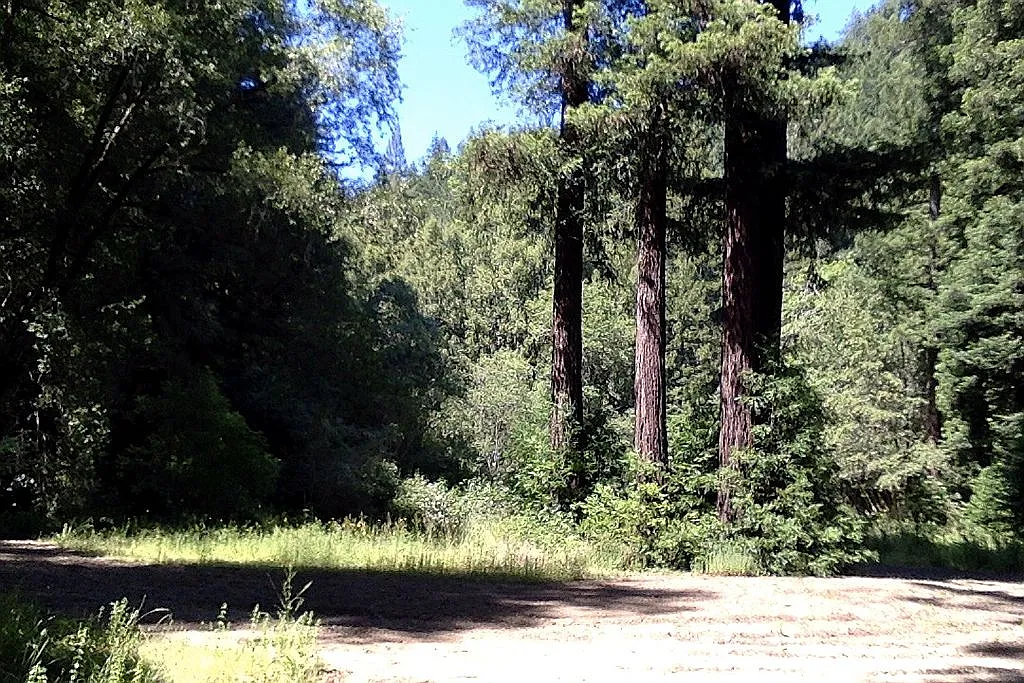 9500 Bohemian Hwy - Photo 11